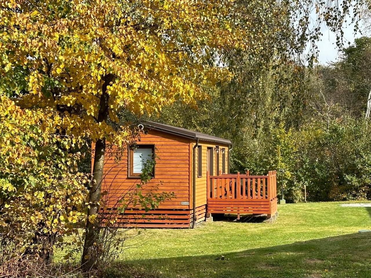 Campsite Bieska Osada Solina (Podkarpackie)